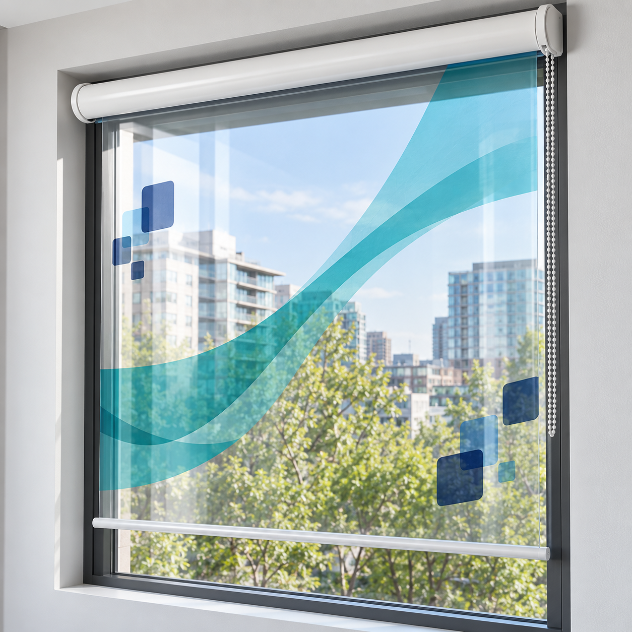 Custom Graphic Roller Shades - Clear