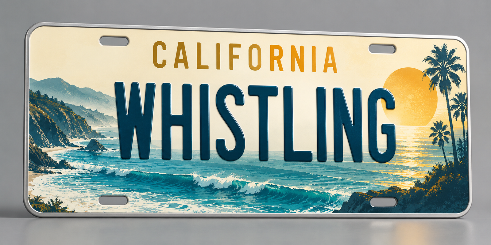 California License Plates Outdoor events