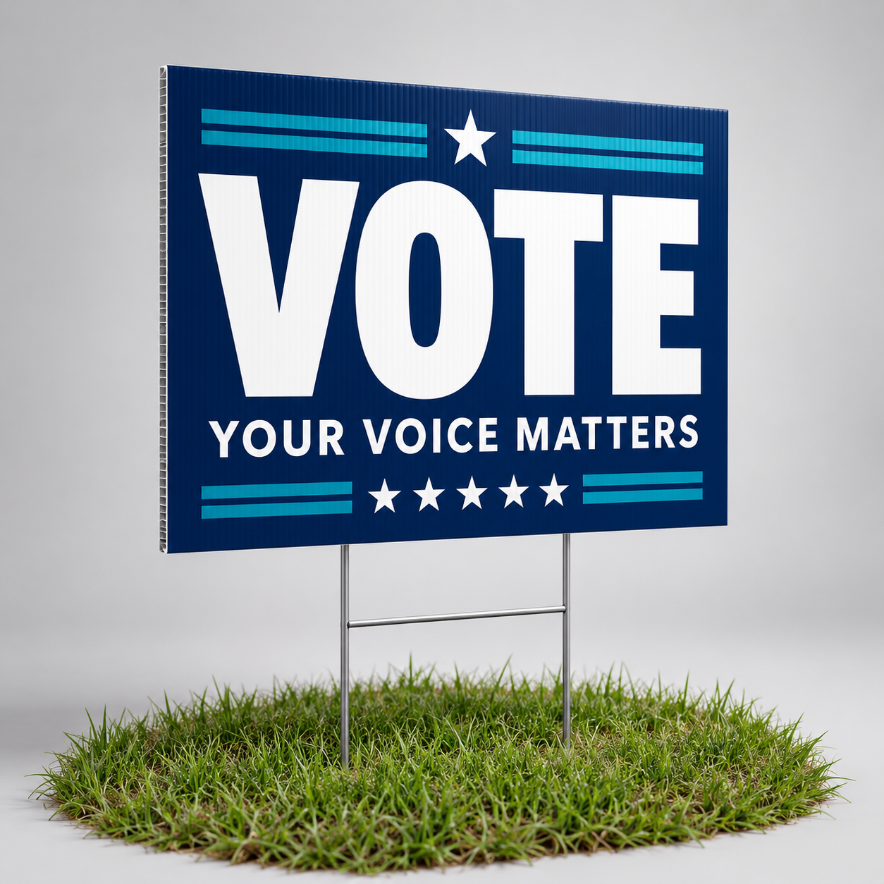 Political Lawn Signs