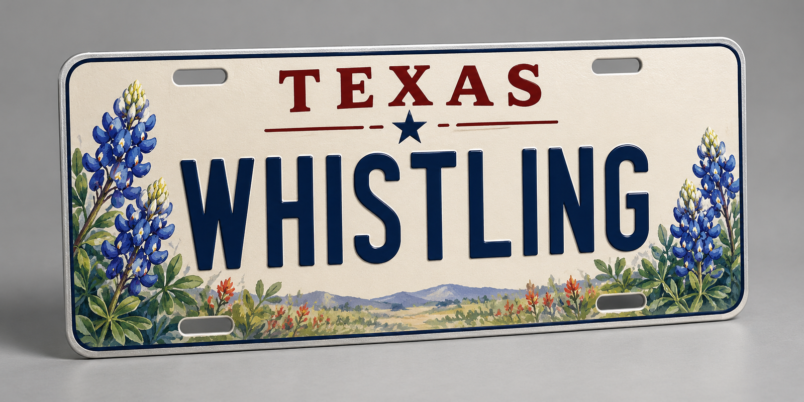 Texas License Plates Outdoor events