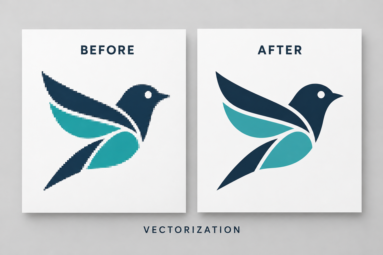 Vectorization Outdoor events